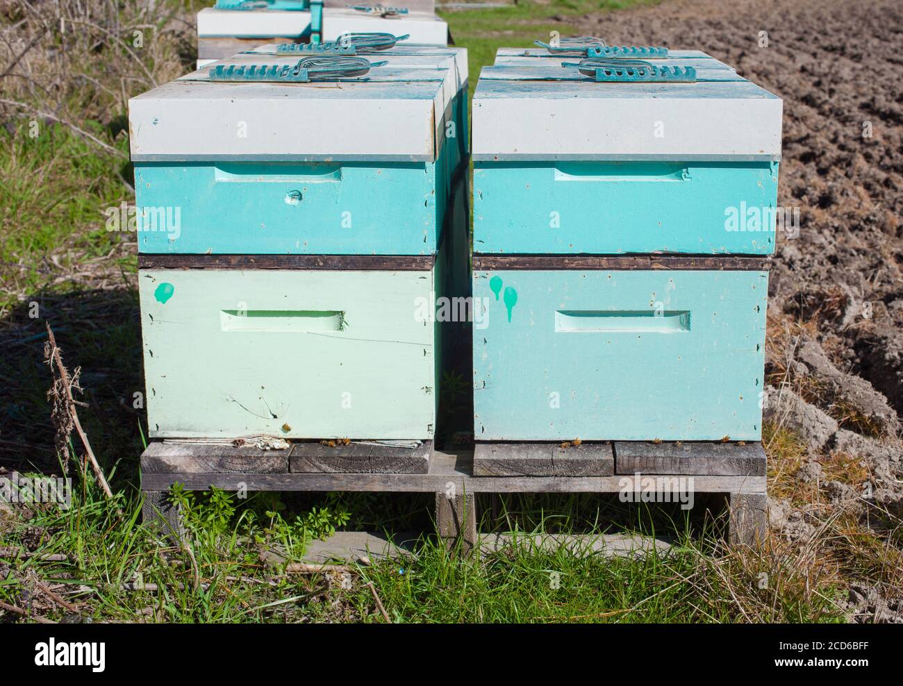 New Zealand Countryside Scenes: Beehives in paddocks. Stock Photo