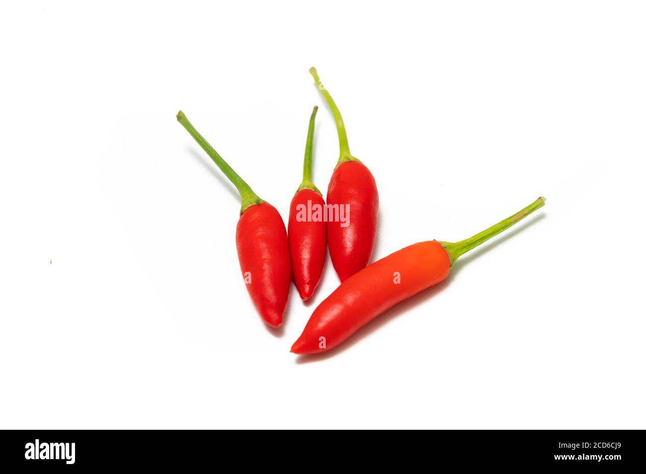 Red Birdseye Chillies on a White Background Stock Photo