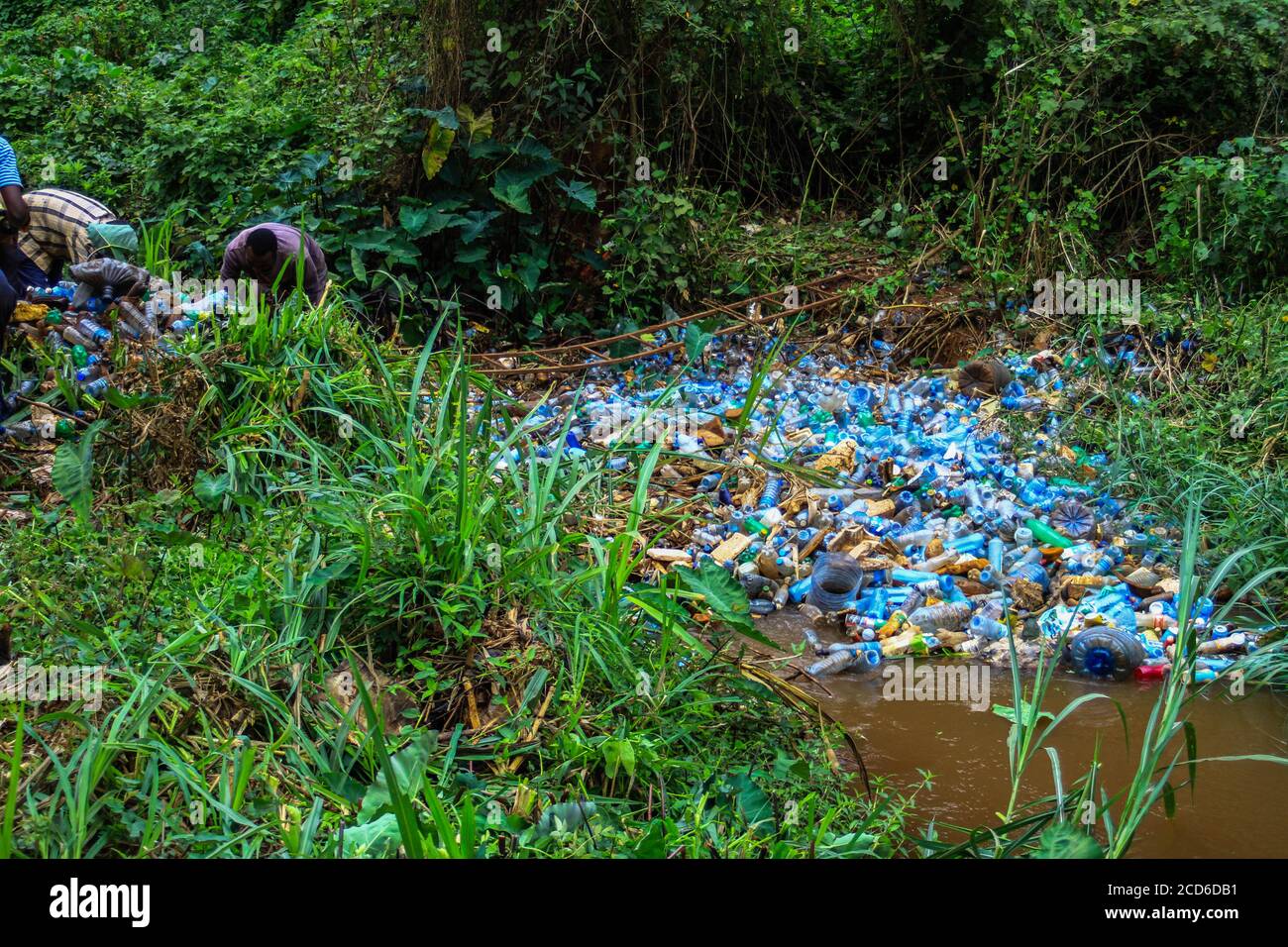 Nairobi, Kenya. 25th Aug, 2020. Volunteers remove plastic bottles and