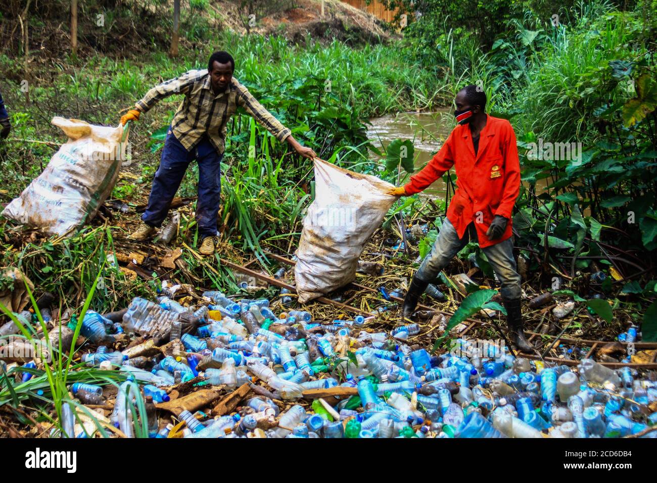 Nairobi, Kenya. 25th Aug, 2020. Volunteers removing plastic bottles and
