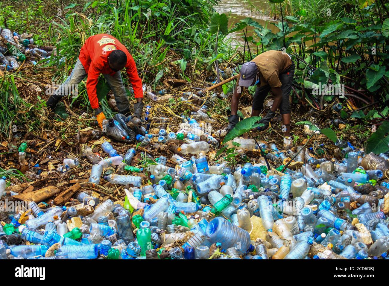 Nairobi, Kenya. 25th Aug, 2020. Volunteers removing plastic bottles and