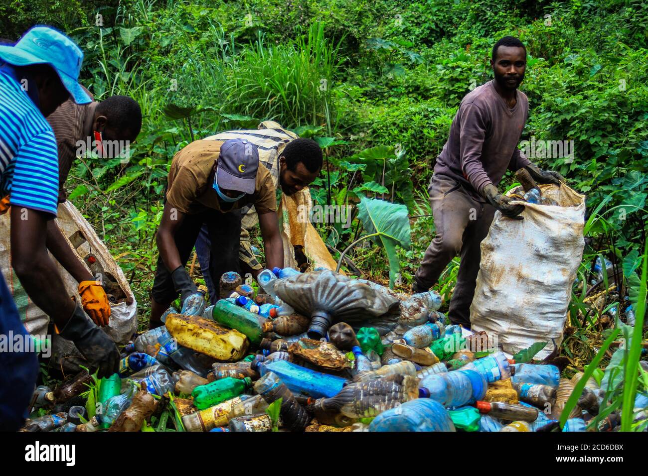 Nairobi, Kenya. 25th Aug, 2020. Volunteers removing plastic bottles and