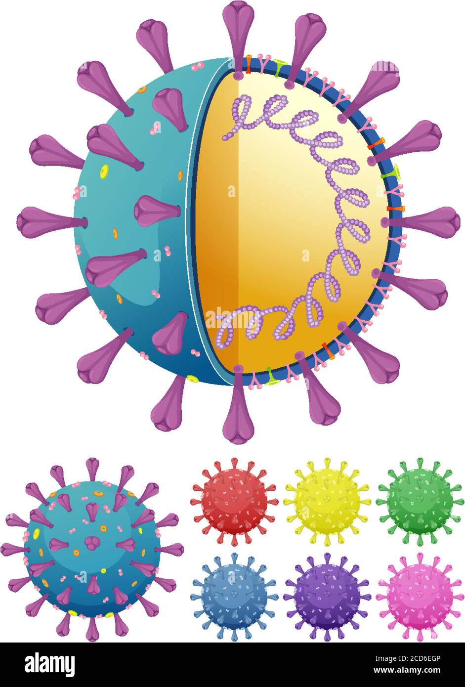 virus-diagram-unlabeled