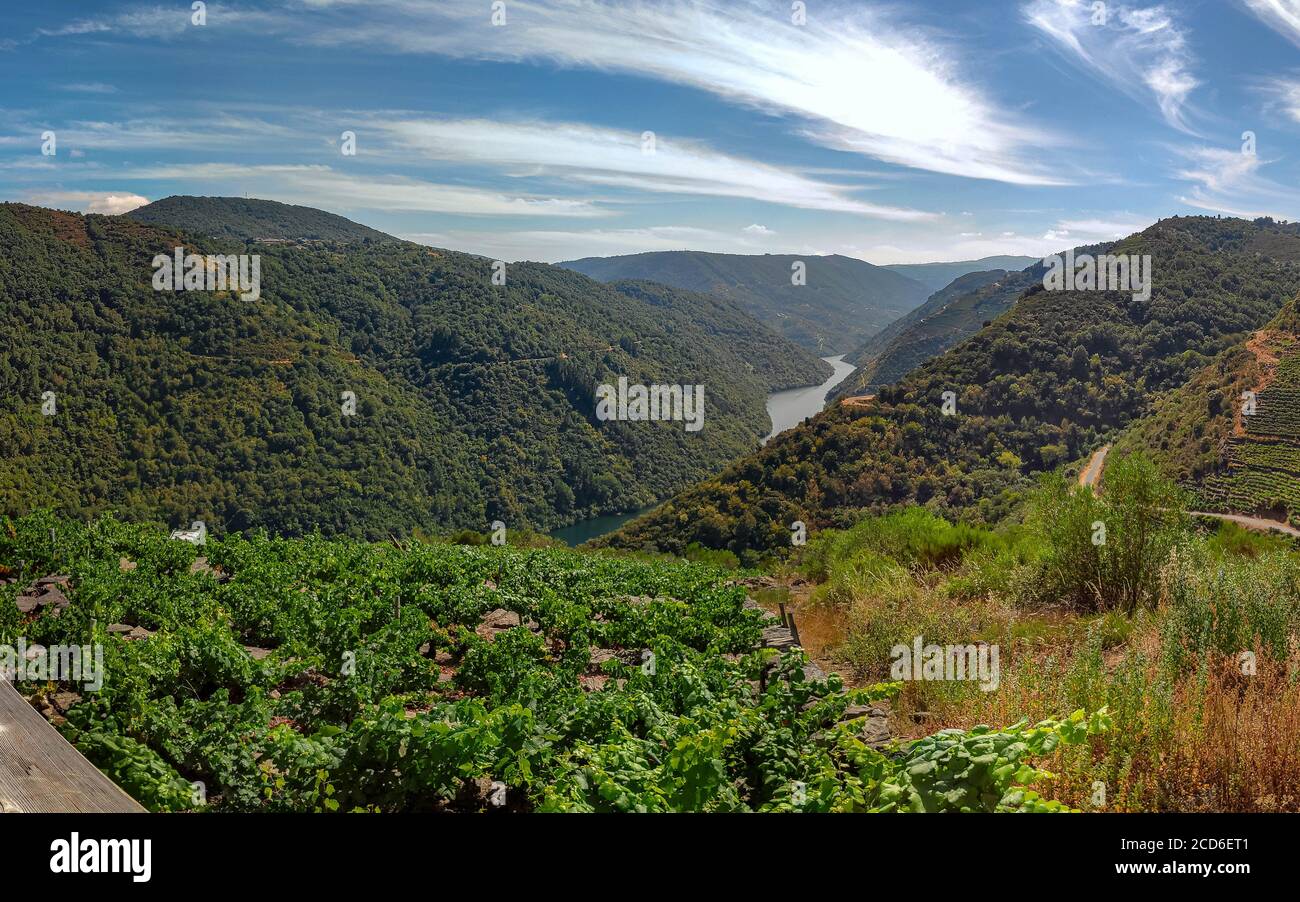 Ribeira Sacra. Sil river. Río Sil. Galicia. España Stock Photo