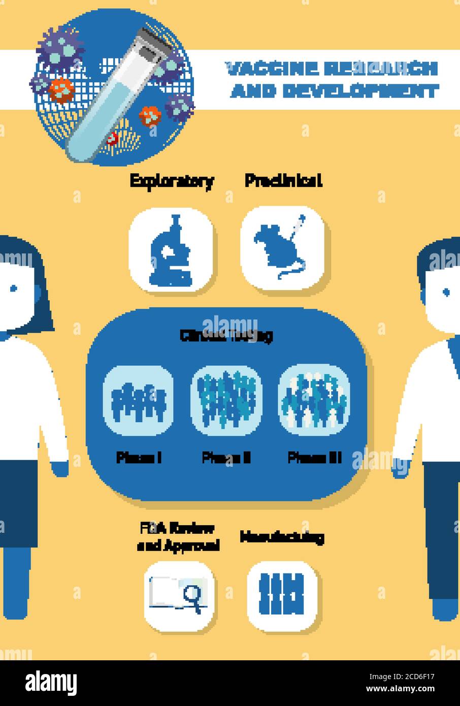 Vaccine research and development infographic illustration Stock Vector ...