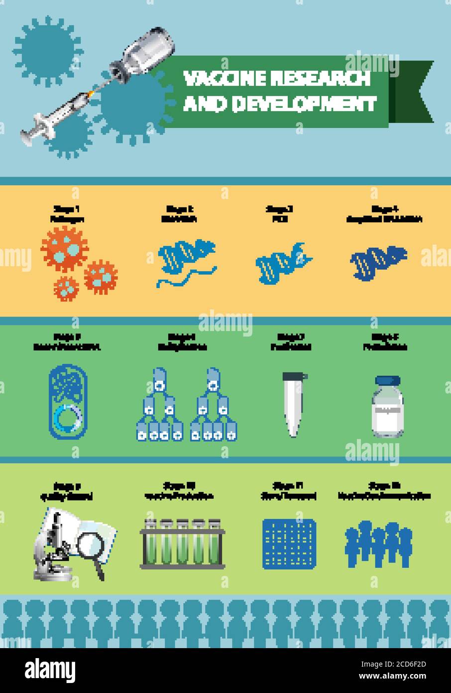 Vaccine research and development infographic illustration Stock Vector ...