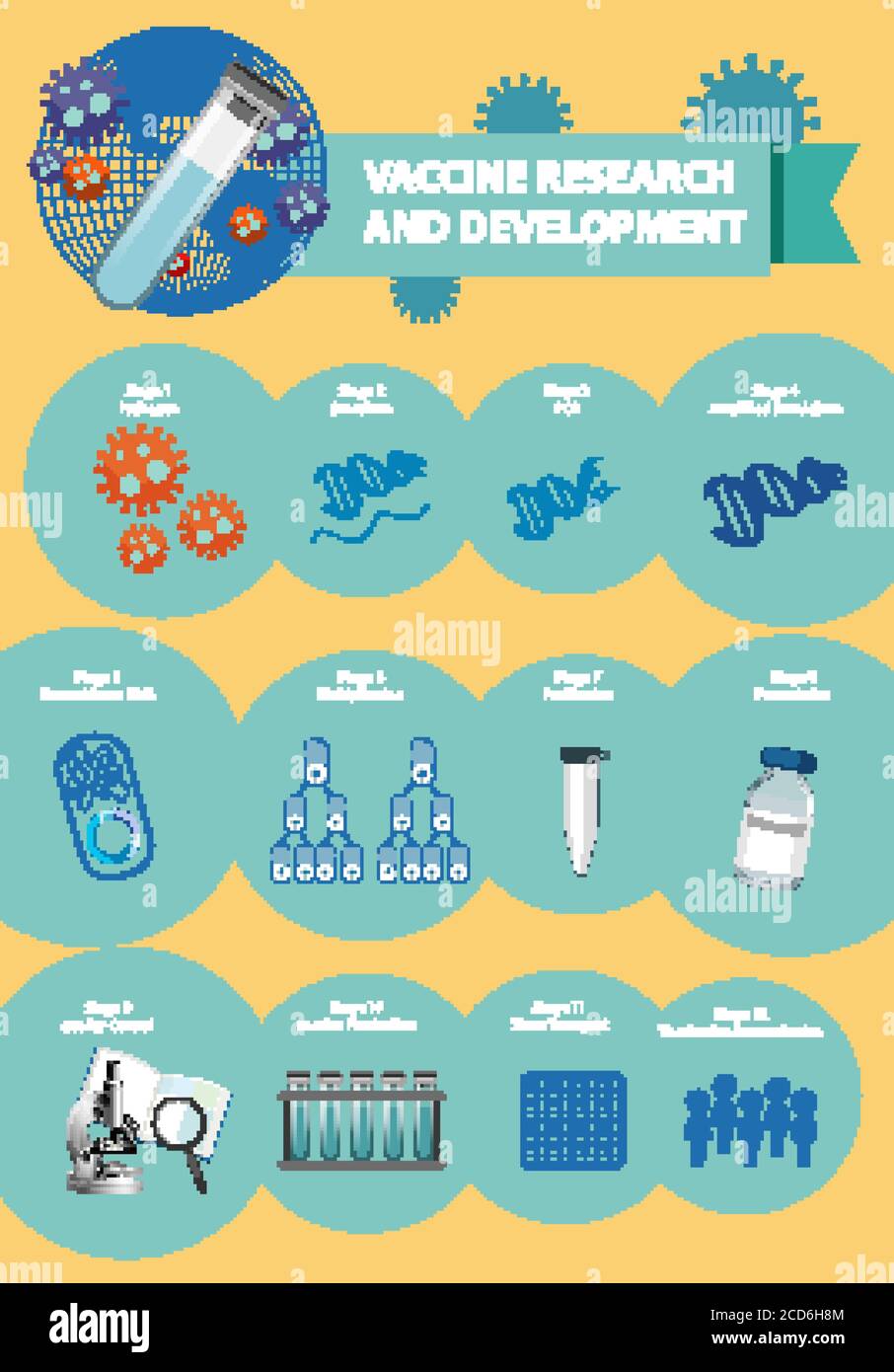 Vaccine research and development infographic illustration Stock Vector ...