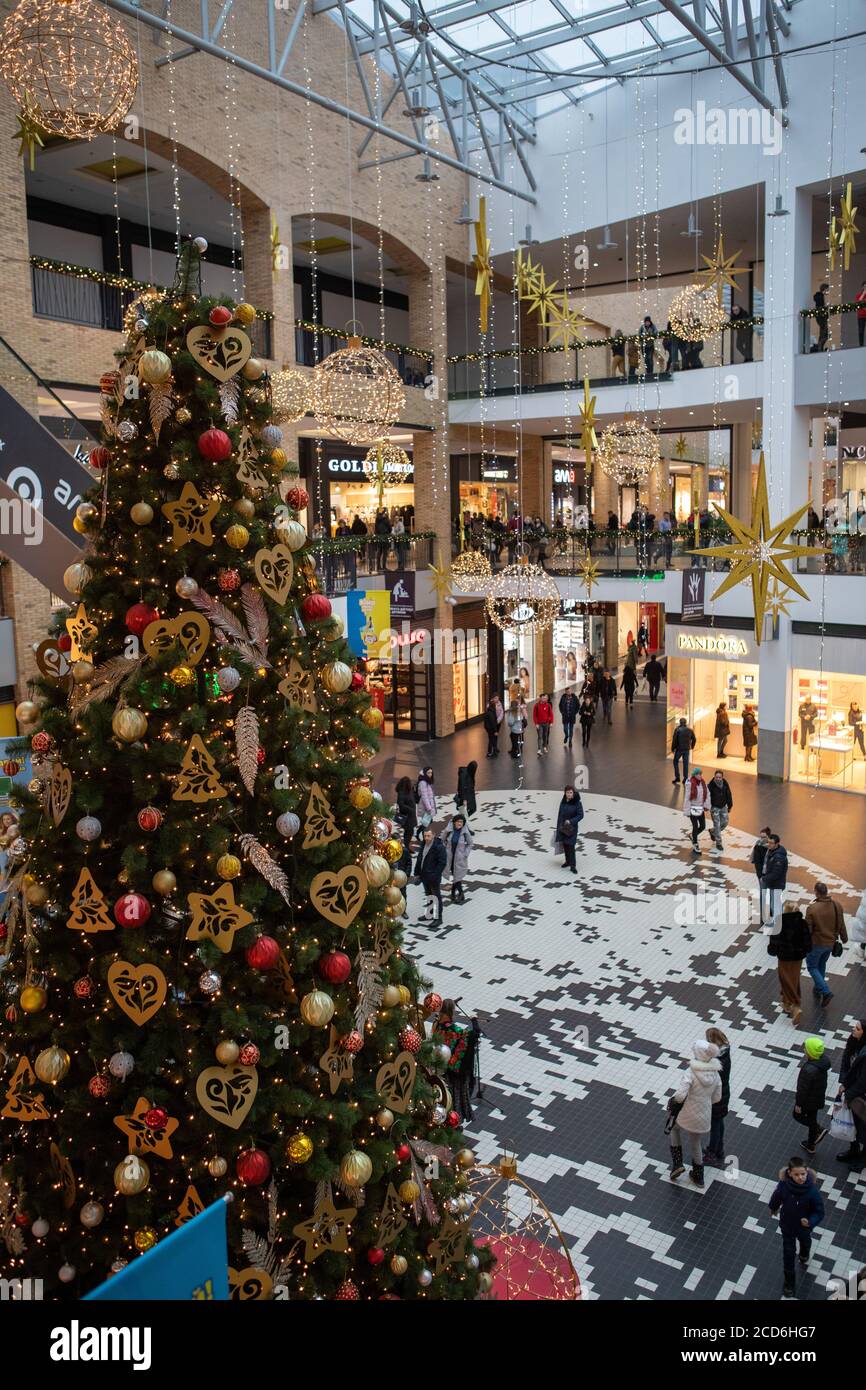 Lviv, Ukraine - January 19, 2020: christmas tree inside city mall store  Stock Photo - Alamy