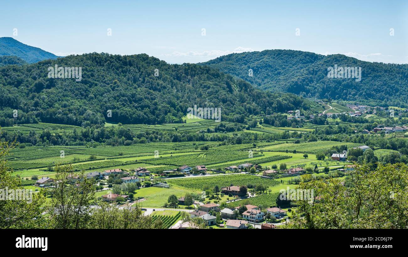 Beautiful landscape with Italian vineyards at Ramandolo, Udine province, Friuli Venezia Giulia, Italy Stock Photo