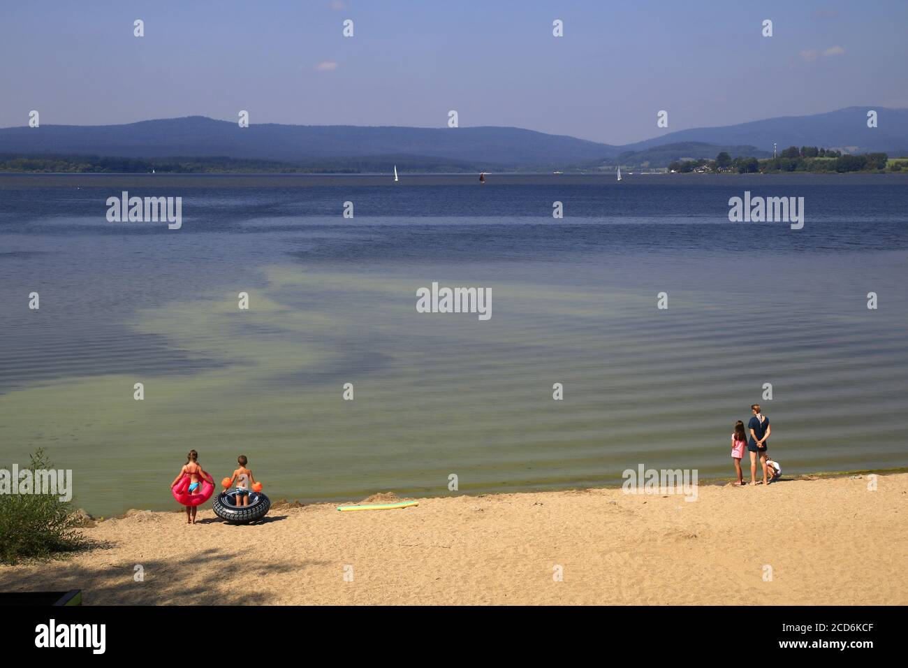 Algae bloom in Lipno lake, Czech Republic Stock Photo