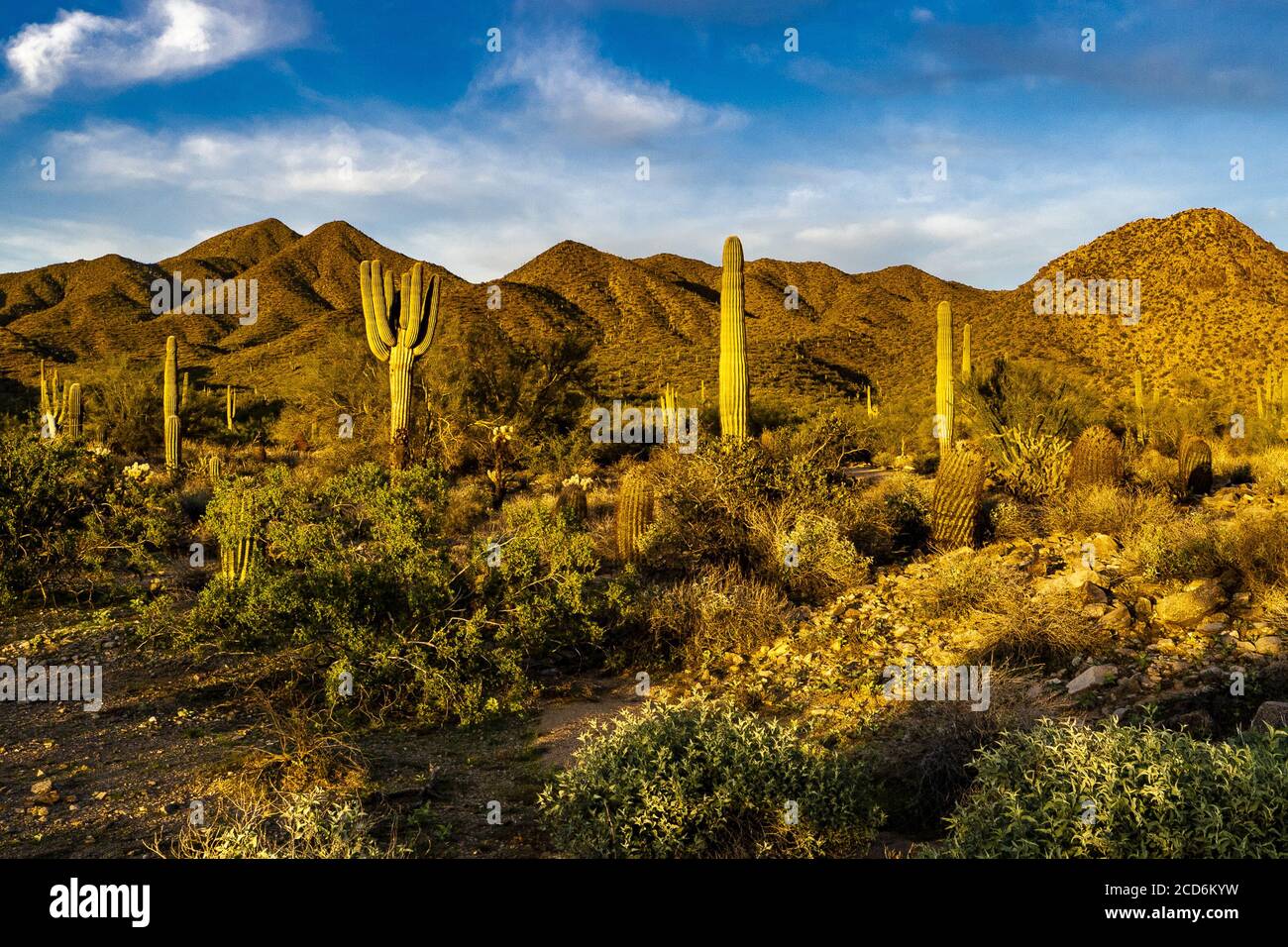 Mountain sonoran desert sunset hi-res stock photography and images - Alamy