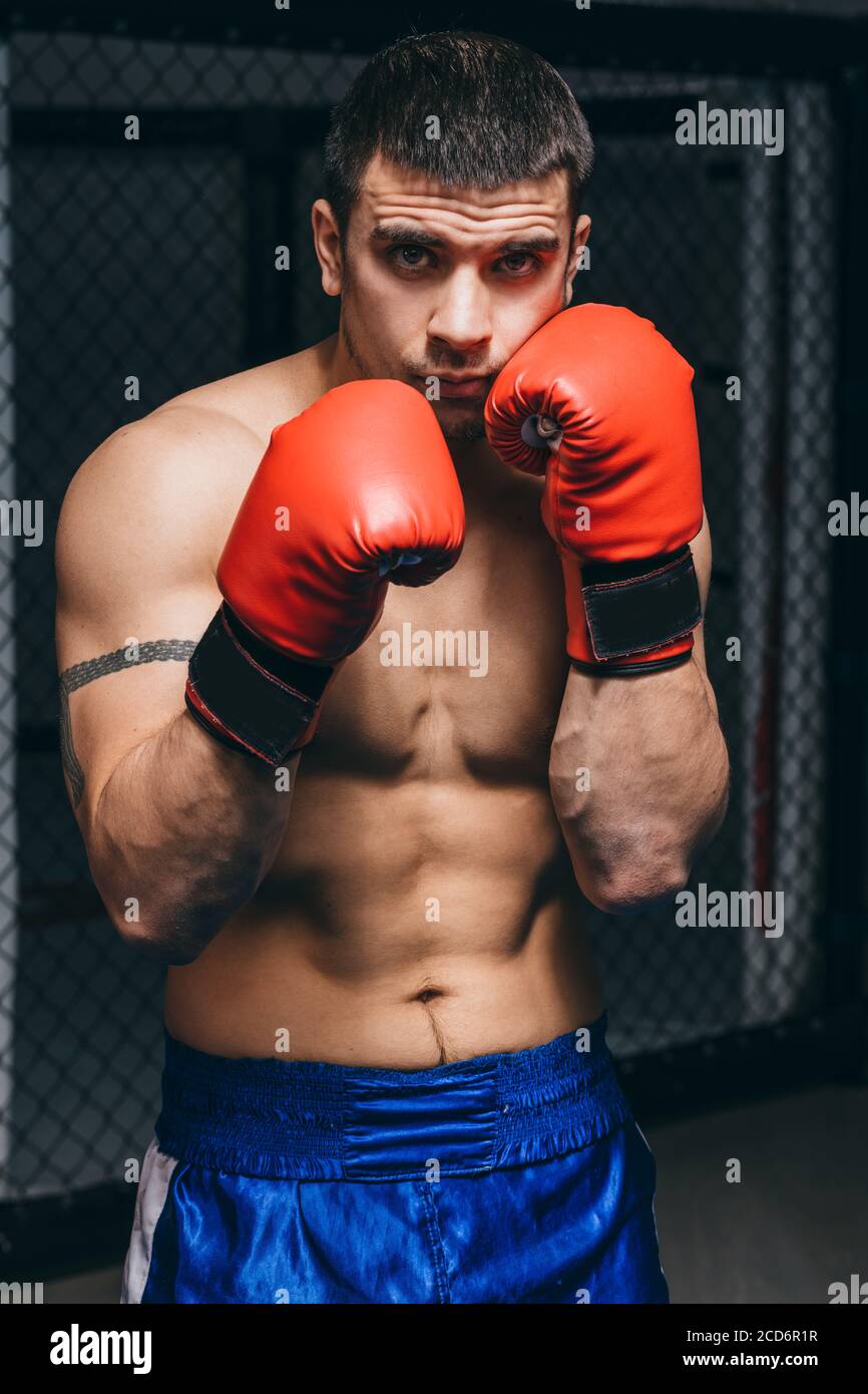 Young attractive shirtless man in boxing gloves posing in defense boxer  stance isolated on dark background in sport and fitness exercise workout  Stock Photo - Alamy
