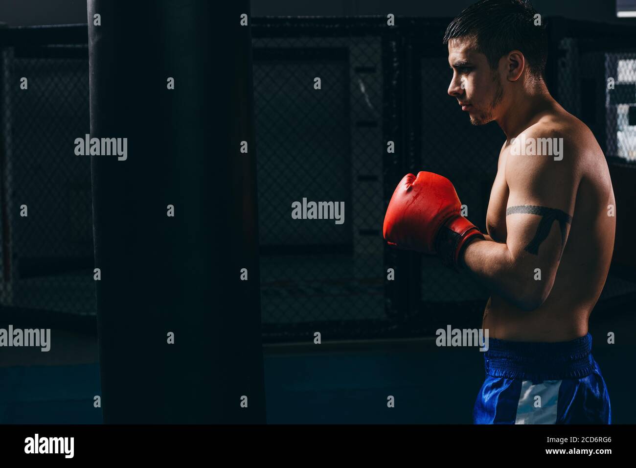 Strong muscular young boxer in sportswear and red boxing gloves training in dark studio, building body and character. Boxing, workout, muscle, strengt Stock Photo