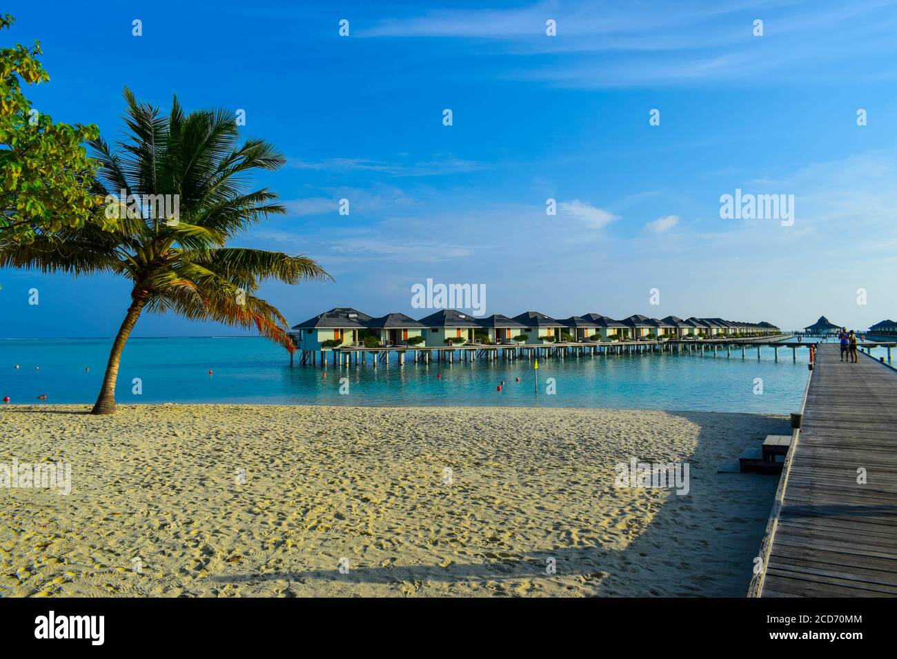 Sunny beach with white sand, coconut palm trees and turquoise sea. Summer vacation and tropical beach concept. Overwater at Maldive Island resort. Stock Photo