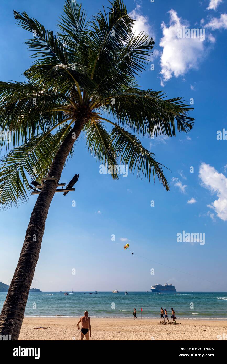 Palm tree on Patong Beach, Phuket, Thailand Stock Photo