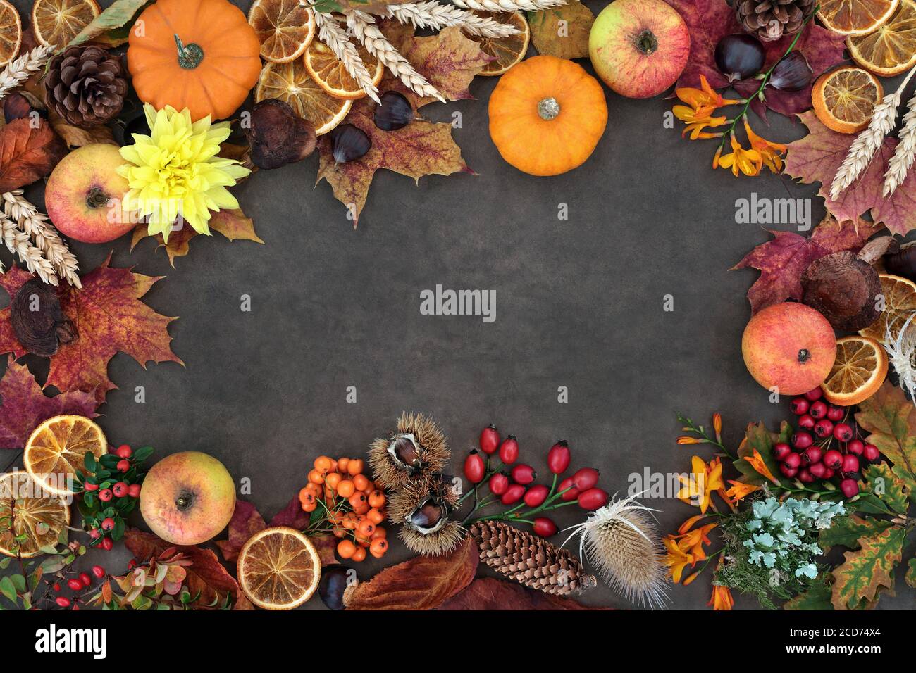 Autumn nature study background border composition with food, flora and fauna on lokta background. Harvest festival theme. Top view. Stock Photo