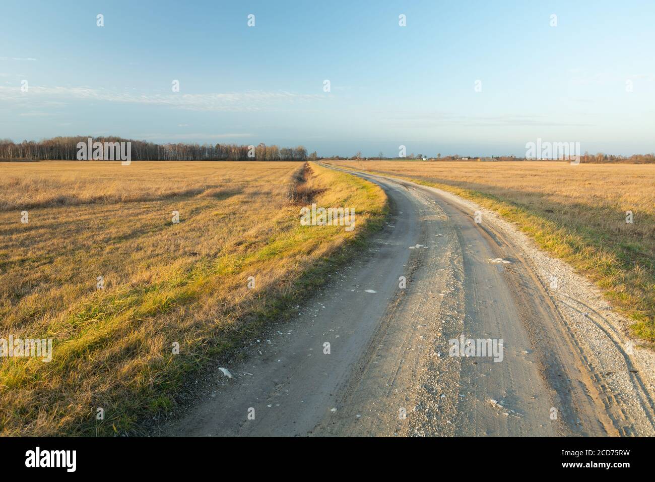 A curve-shaped dirt road through meadows, sunny day Stock Photo
