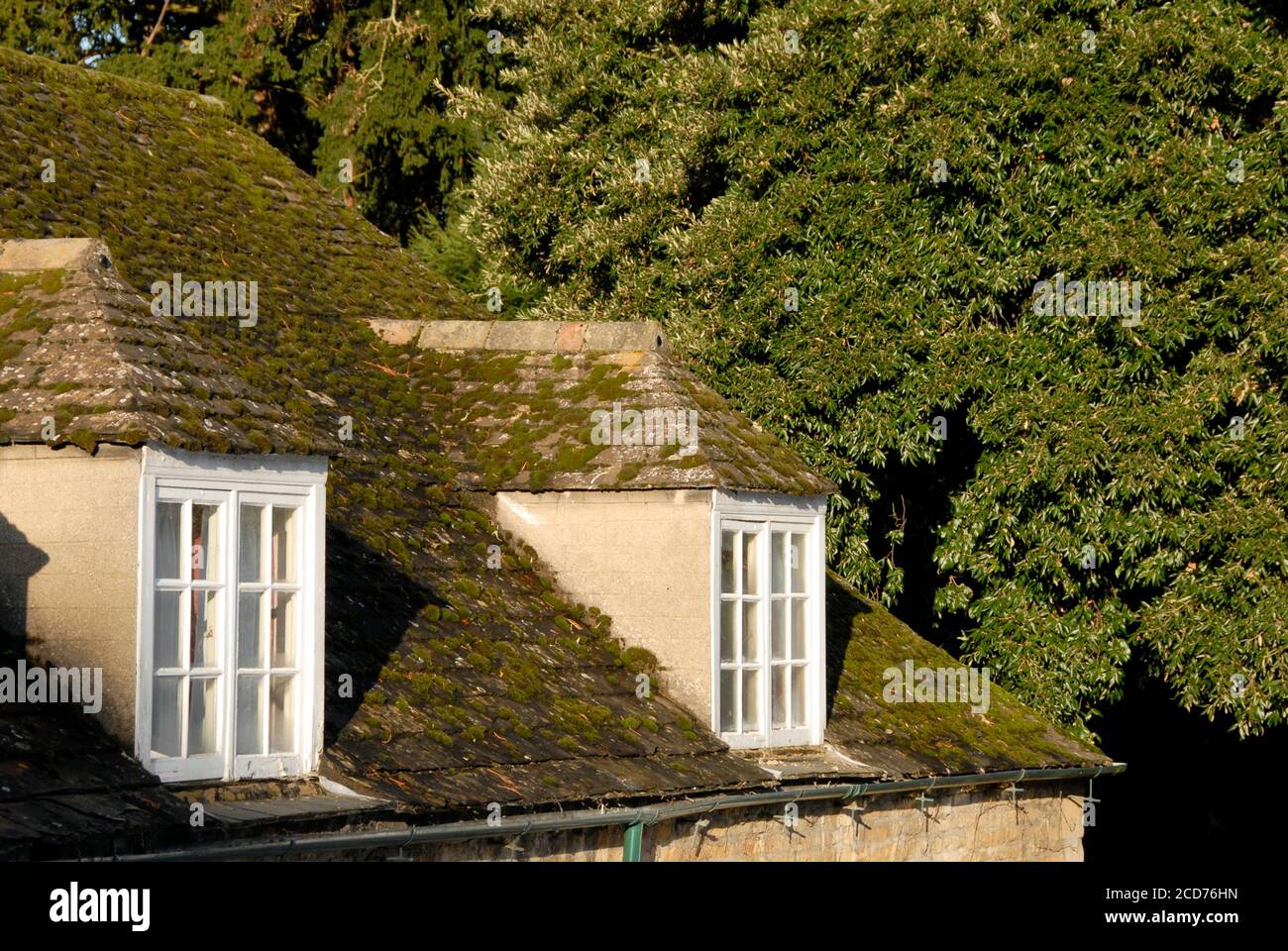 Two dormer windows in a moss-covered tiled roof, Cambridgeshire, England Stock Photo