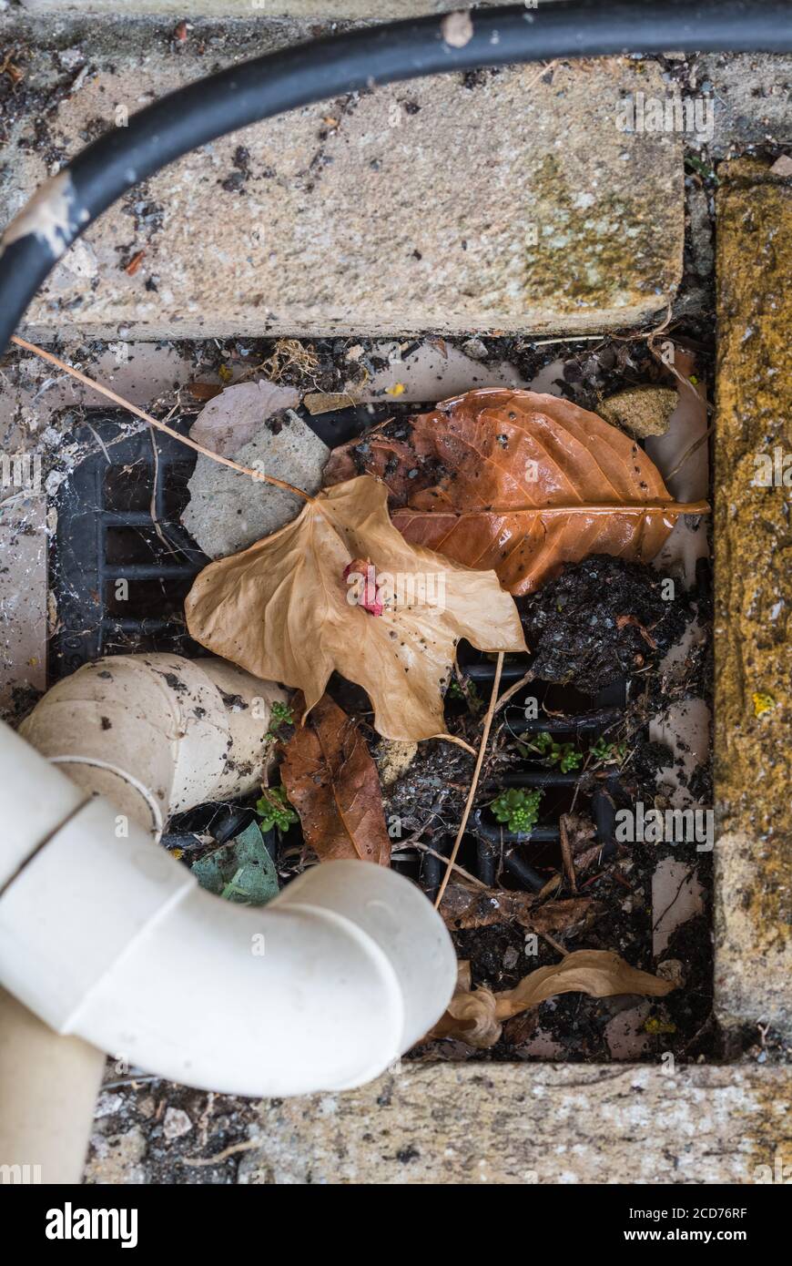 Dry water drain blocked by leaves Stock Photo Alamy