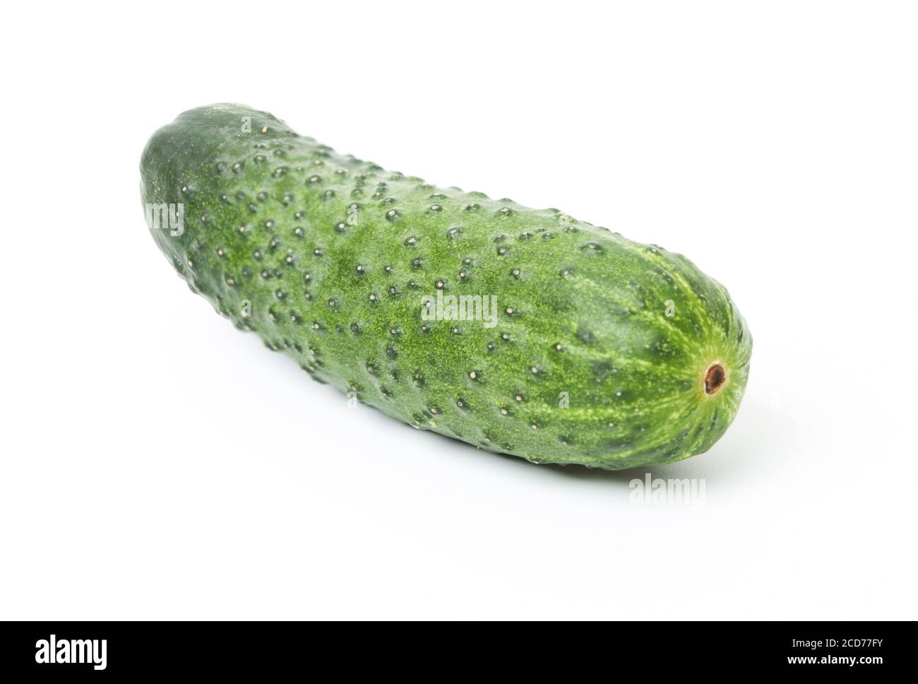 Raw cucumber isolate on white background Stock Photo