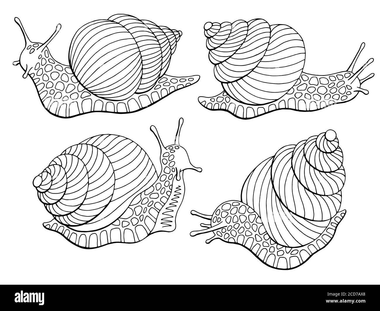 Snail escargot graphic black white isolated sketch set illustration