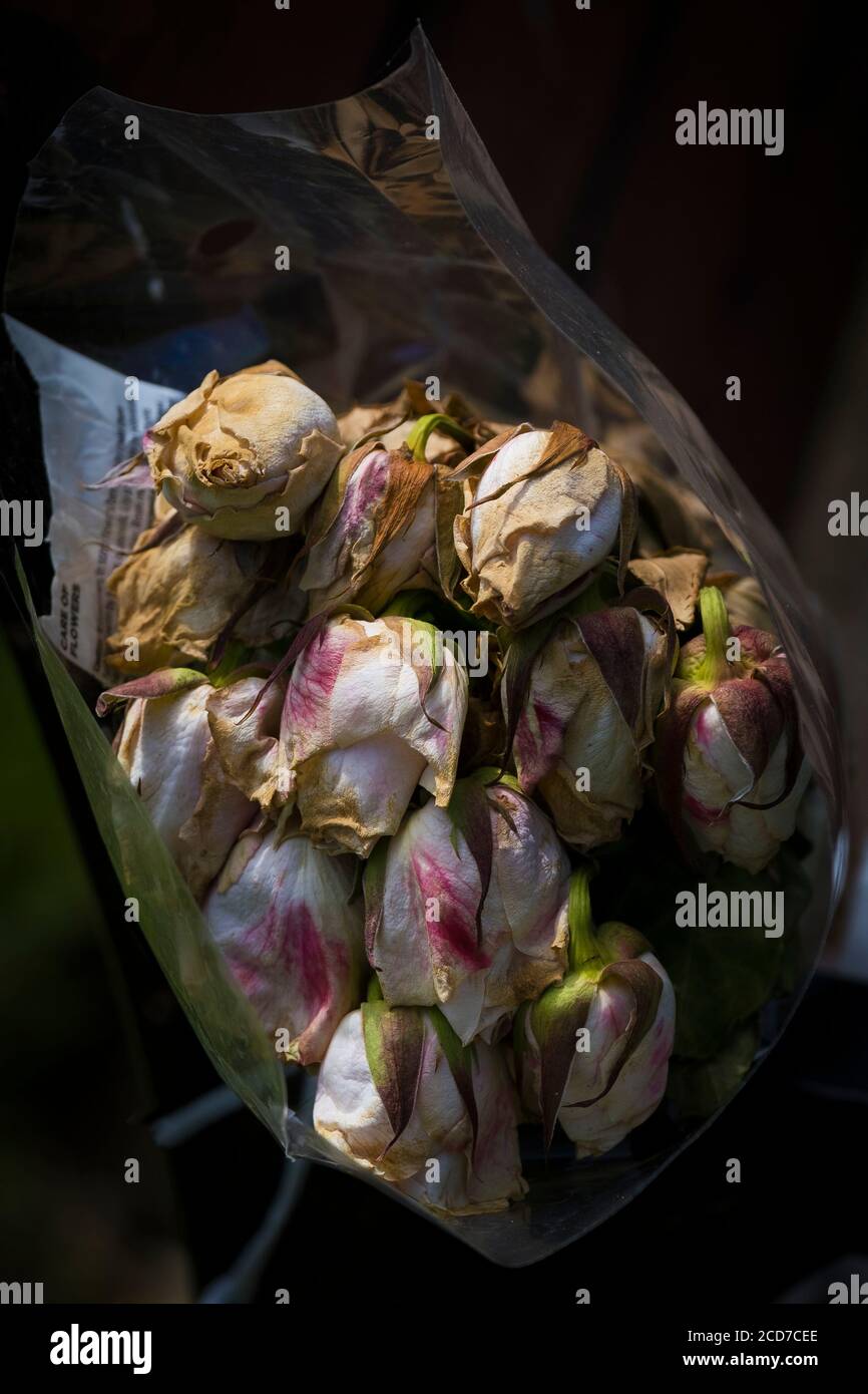 A bouquet of wilting dying flowers. Stock Photo