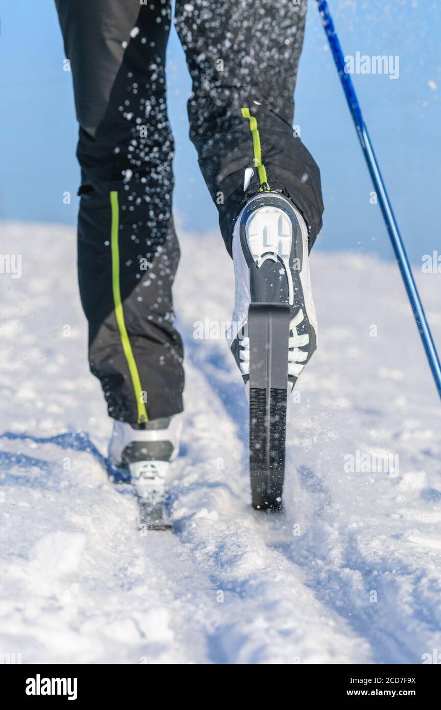 Young woman on the way in nature with nordic cruising skis Stock Photo