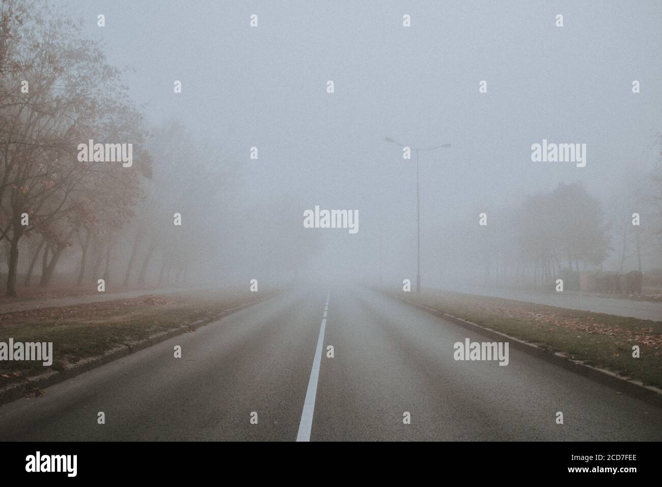 Lost in the fog hi-res stock photography and images - Alamy