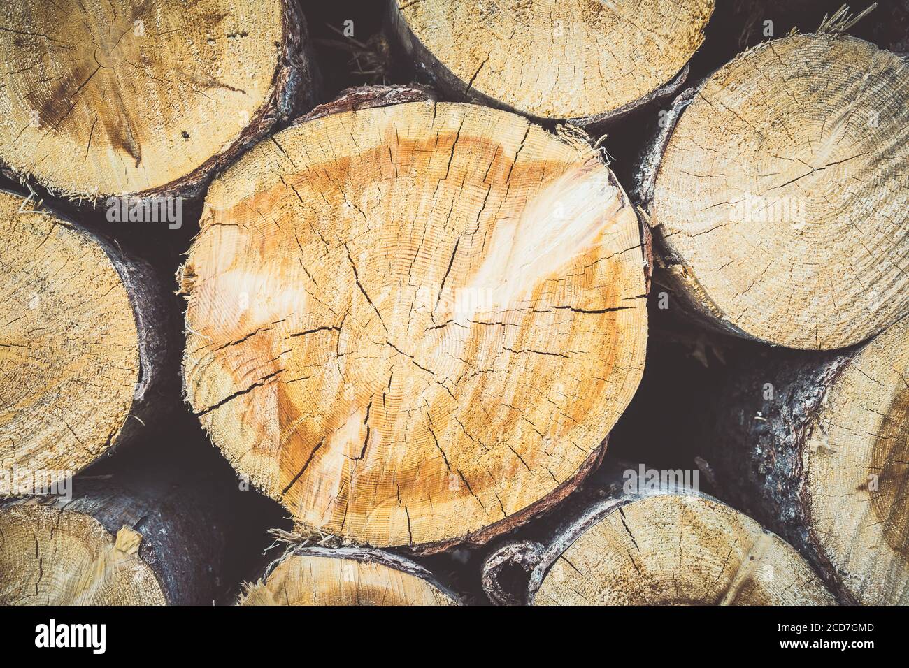 Closeup shot of chopped log trunks pile for background Stock Photo - Alamy