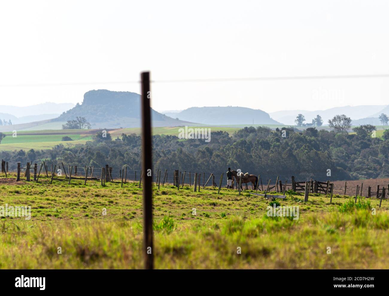 Rural landscape of the south american pampas on the borders of brazil,  uruguay and argentina. Visual characteristics of the pampa biome. Nature  and to Stock Photo - Alamy