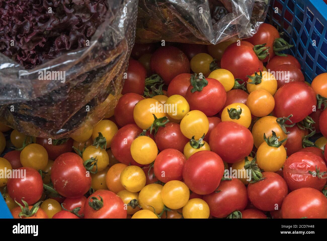 Small red and yellow cherry tomatoes on sale in a corner grocery store ...