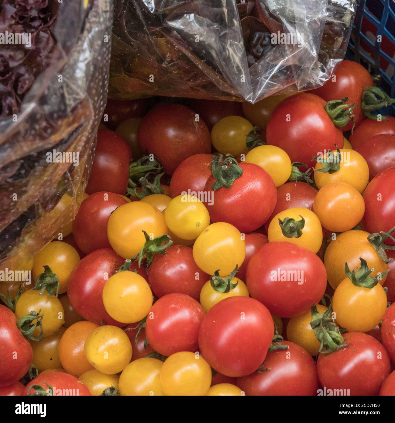 Small red and yellow cherry tomatoes on sale in a corner grocery store ...