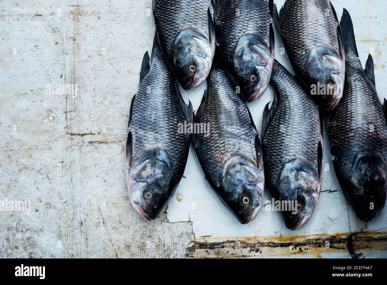 Kolkata fish market hires stock photography and images Alamy
