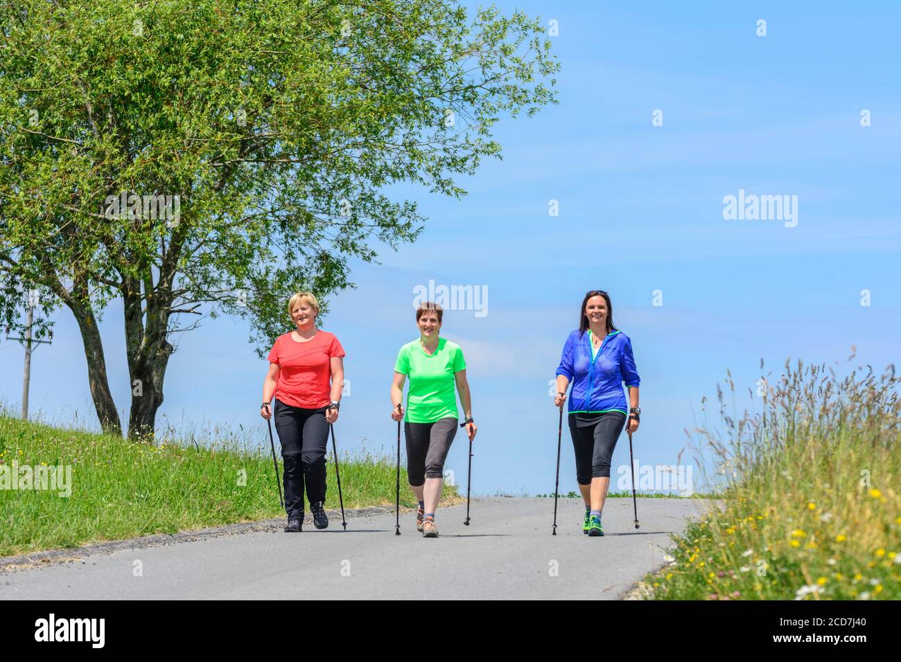 Good-humoured women doing a nordic walking execise in idyllic nature in summertime Stock Photo