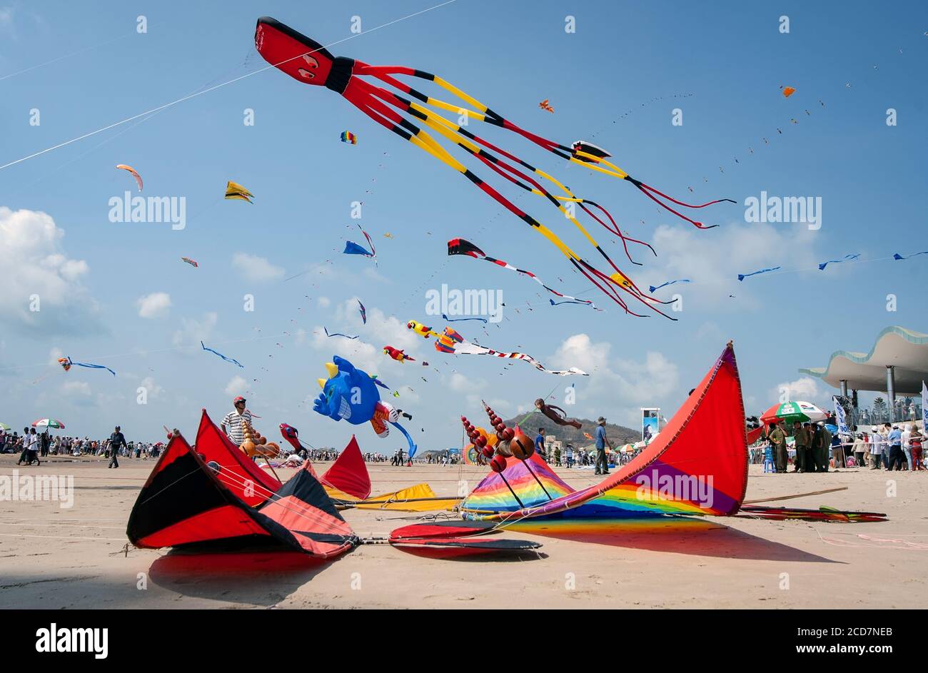 festival, kite flying Vung Tau, Vietnam central coast Stock Photo Alamy