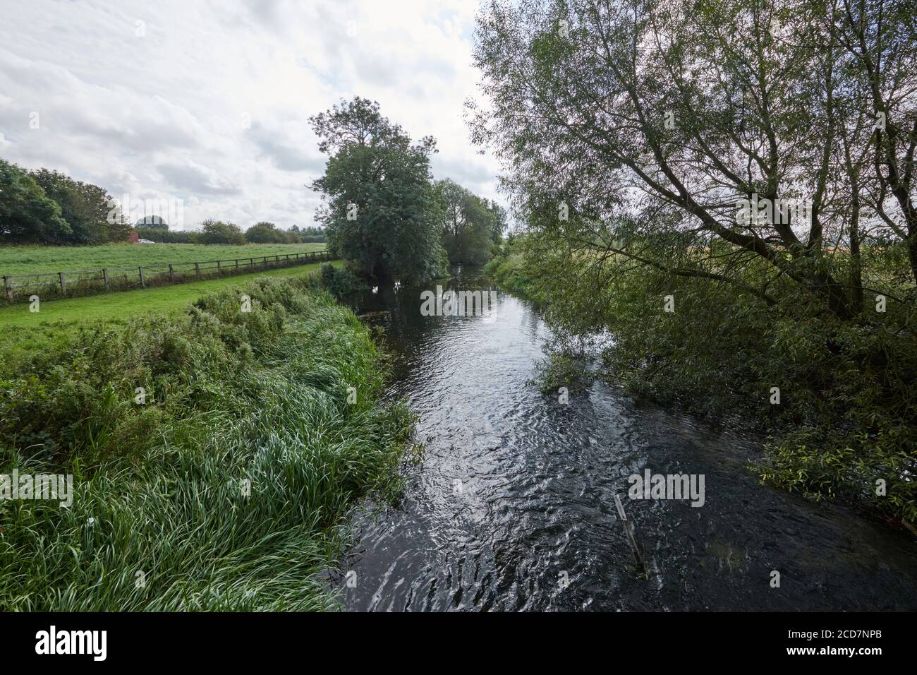 West Beck Chalk trout fishing stream in full flow. in East Yorkshire