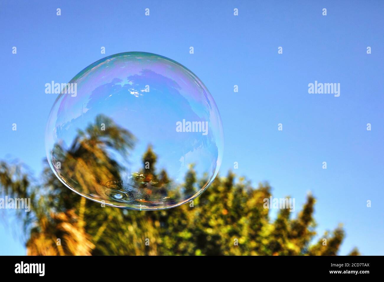The soap bubble flies against the blue sky and palm trees. Bubbles of air on a sunny summer day outdoors. Stock Photo