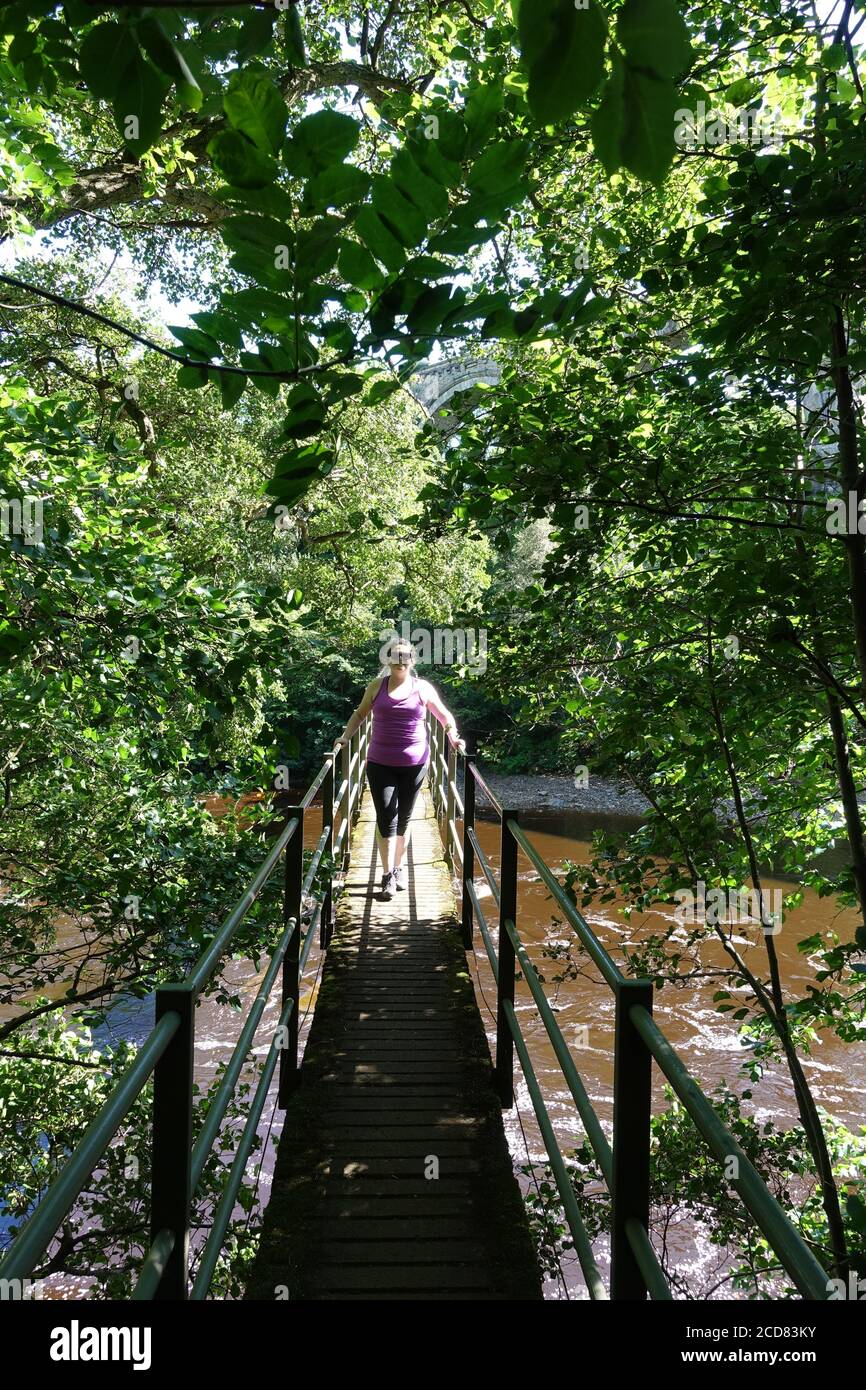 Walk Lambley Viaduct Stock Photo Alamy