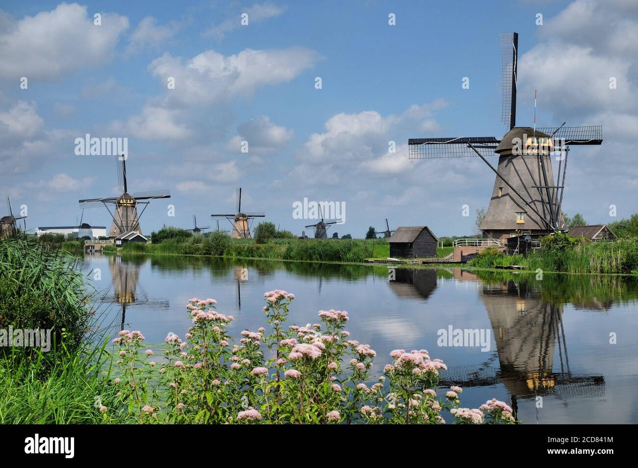 Windmills At Kinderdijk South Holland On A Summer s Day Stock Photo Windmills At Kinderdijk South Holland On A Summer s Day Stock Photo