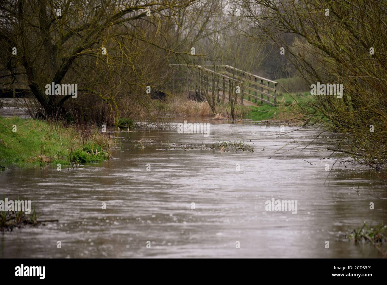 The river Blackwater is full and flowing strongly after a large amount of rain, in this photo taken on an overcast spring day. Stock Photo