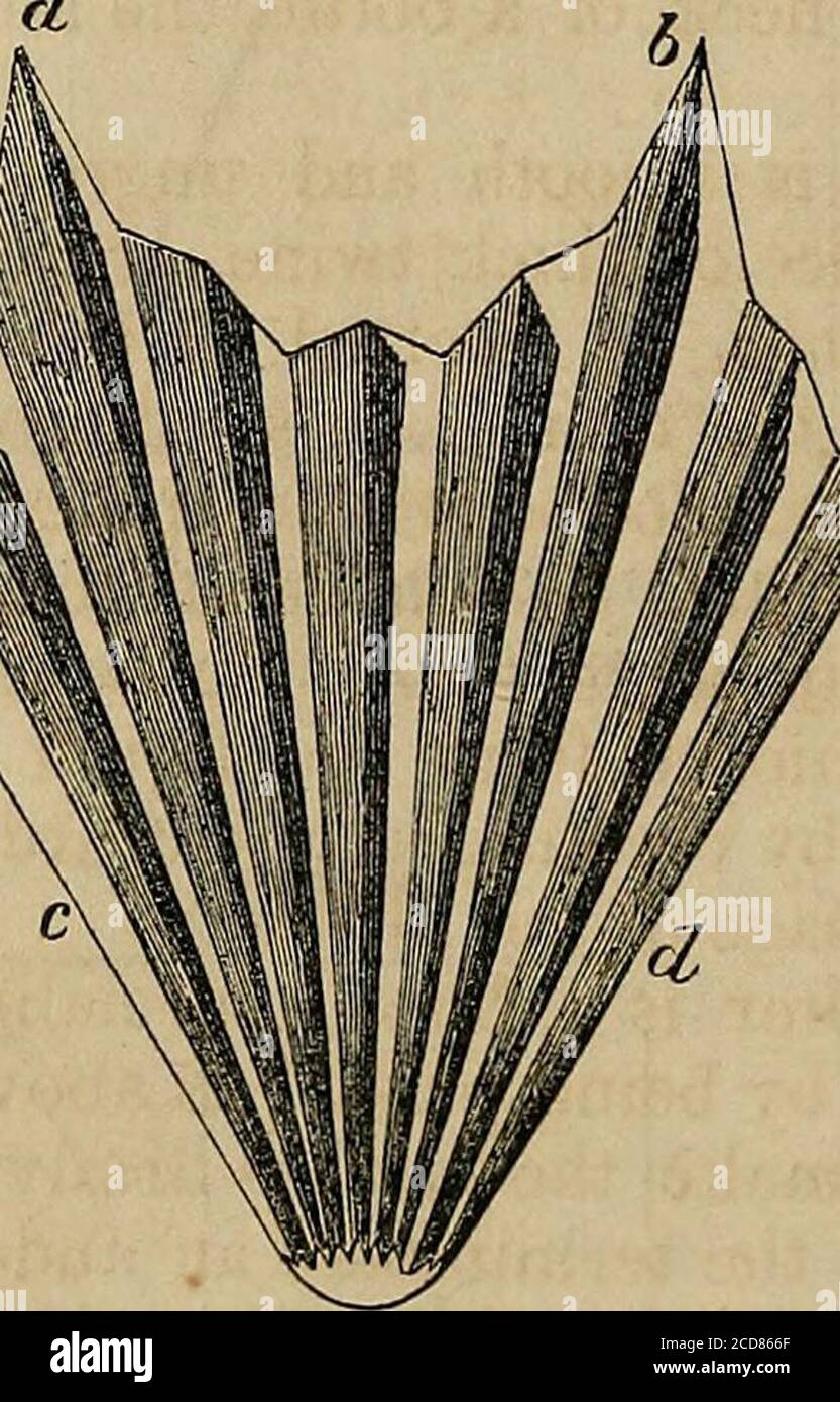 Medicated paper hi-res stock photography and images - Alamy
