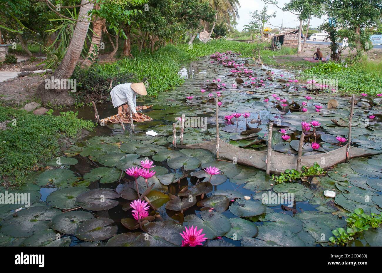 Trang An water wharf, a famous tourist resort in Ninh Binh province, Vietnam Stock Photo