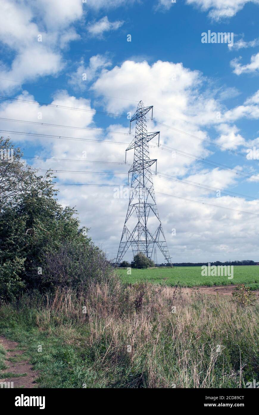 Electricity pylon in green field with blue sky with white clouds Stock ...