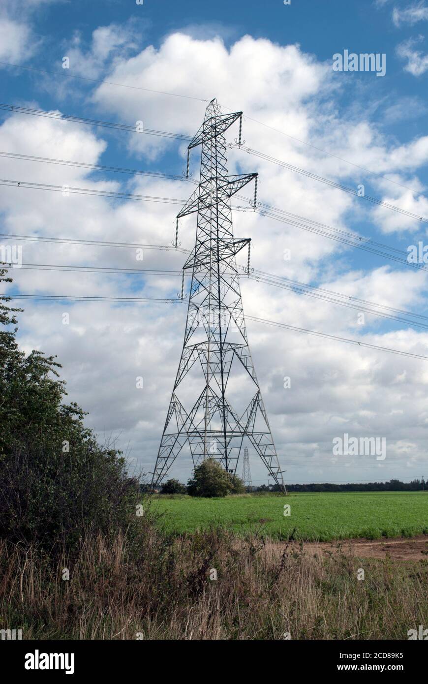 Electricity pylon in green field with blue sky with white clouds Stock ...