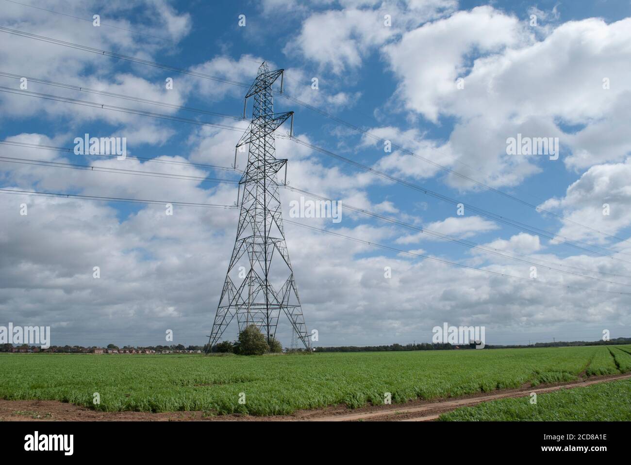 Electricity pylon in green field with blue sky with white clouds Stock ...