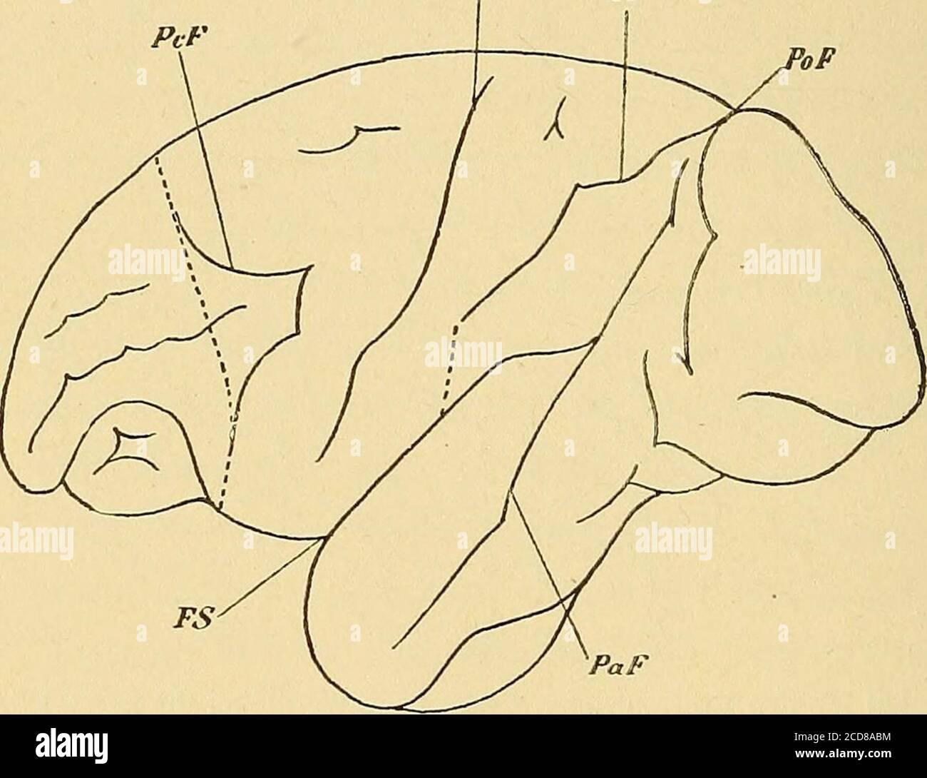 . The relations of the eye and its diseases to diseases of the body ...