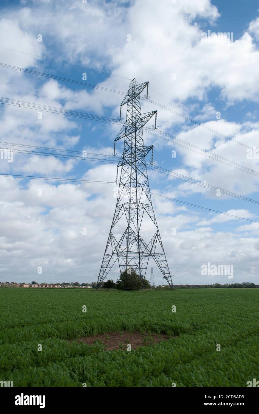 Electricity pylon in green field with blue sky with white clouds Stock ...