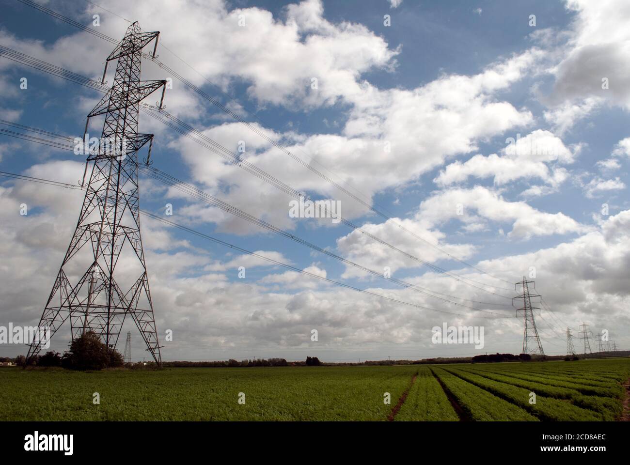 Electricity pylon in green field with blue sky with white clouds Stock ...