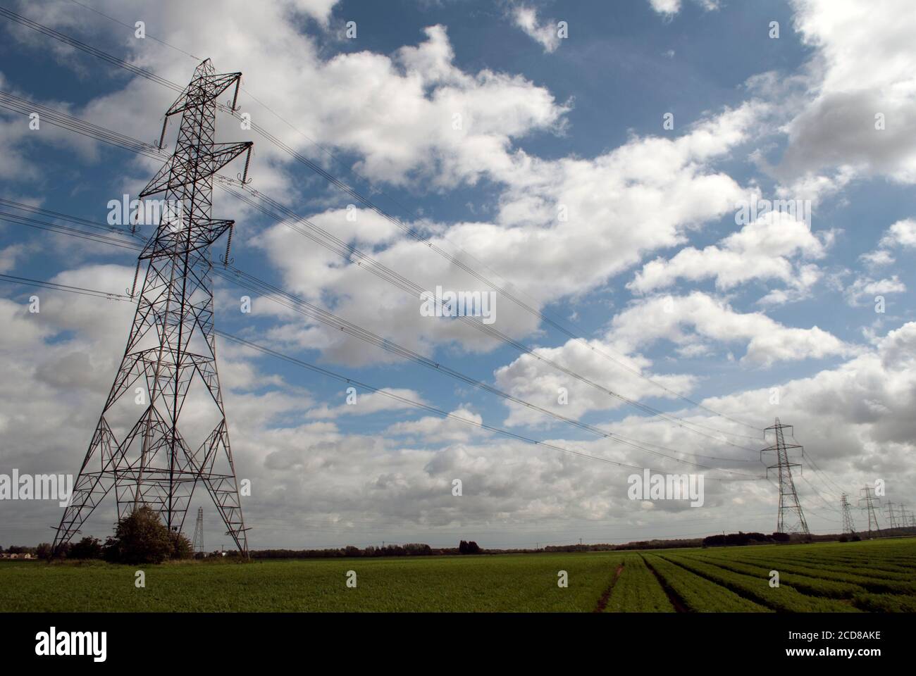 Electricity pylon in green field with blue sky with white clouds Stock ...