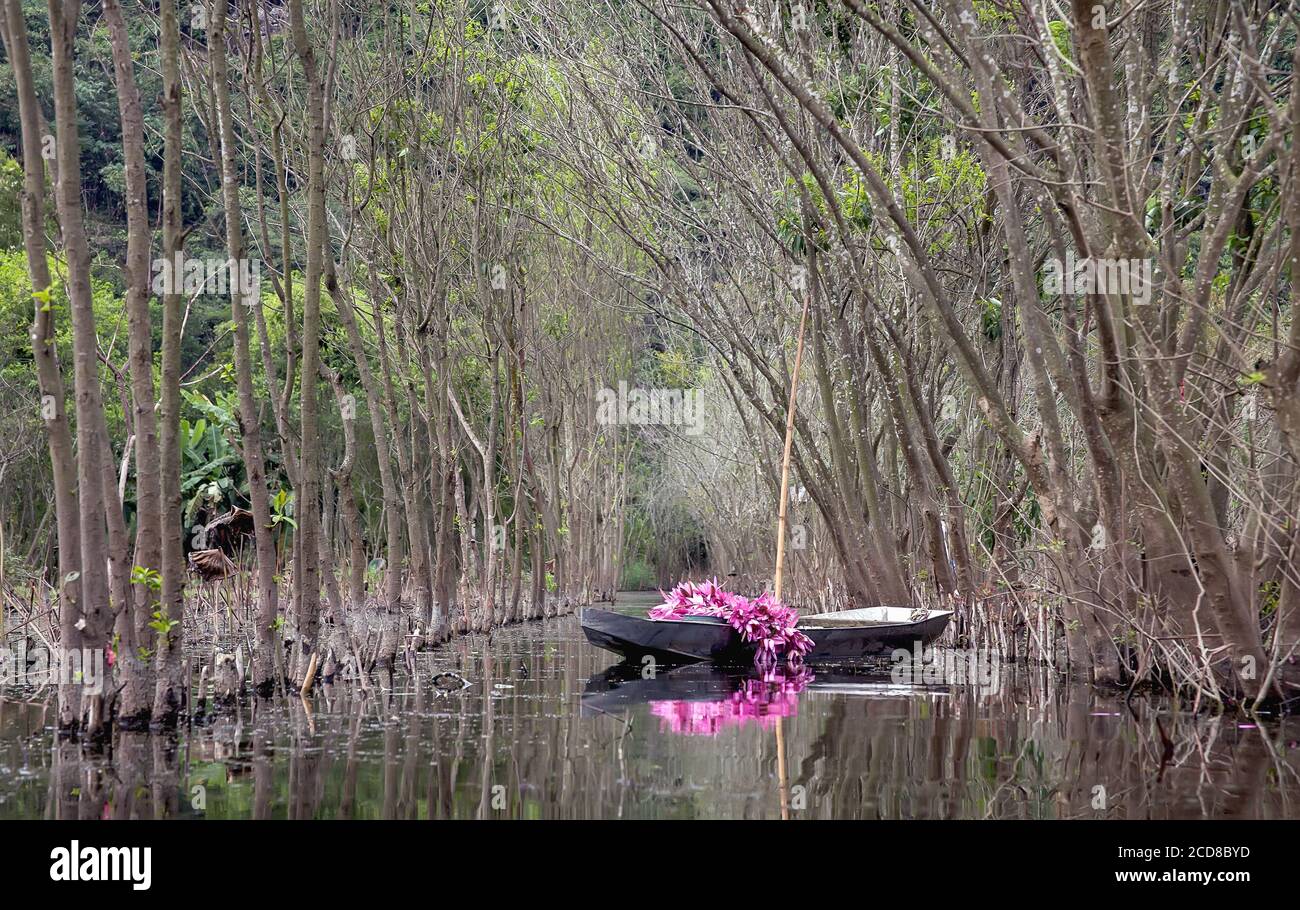 the beauty of landscapes and people, urban landscape, Hanoi capital, Vietnam Stock Photo